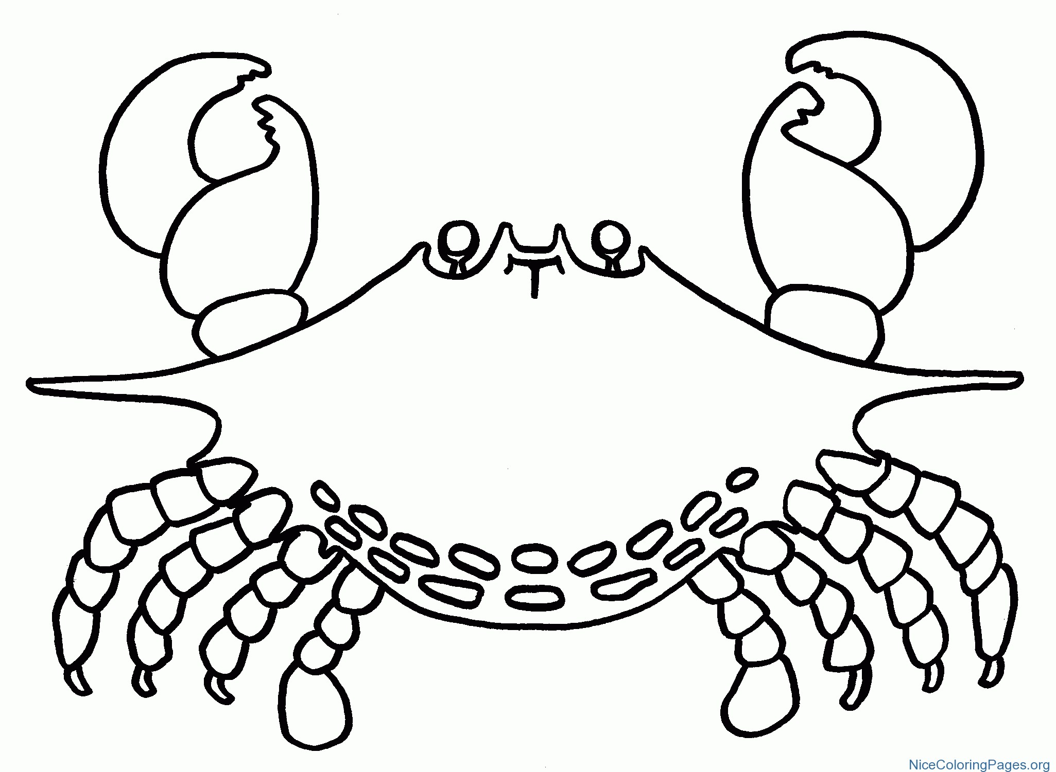 Horseshoe Crab Coloring Page