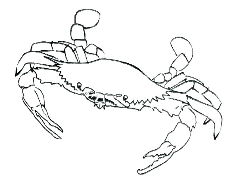 Crab Coloring Pages 792x612 Crab Coloring Pages