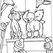 Hotel For Dogs Coloring Pages 220x220 Hotel For Dogs Coloring Pages