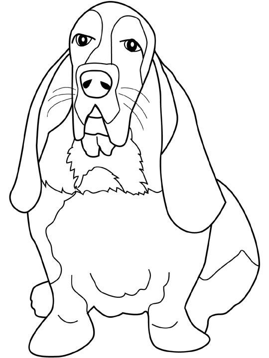 540x720 Dogs Coloring Pages Basset Hound Coloring Book Dogs Amp Cats