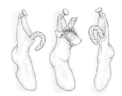 Stampendous 400x315 Stampendous