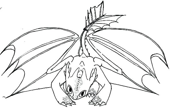 600x388 Night Fury Coloring Pages It S Here How To Train A Dragon Coloring