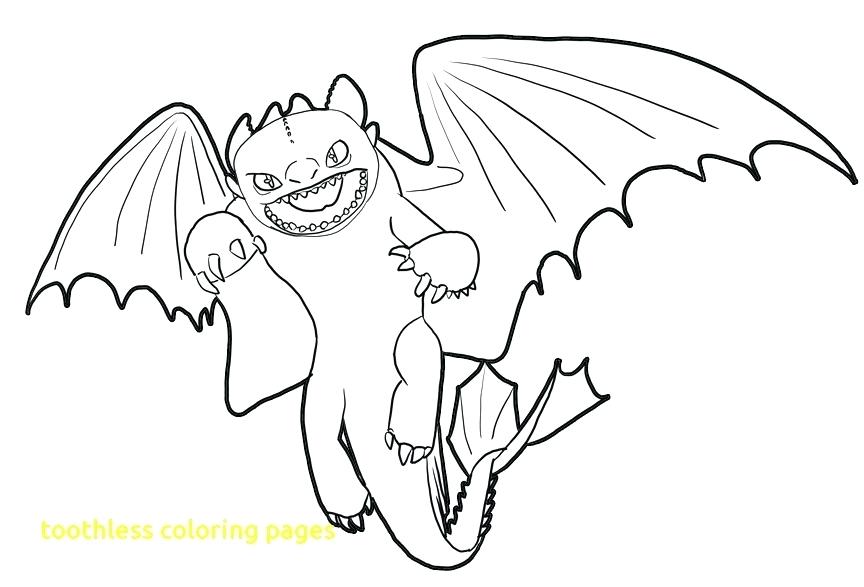 864x587 Free How To Train Your Dragon Coloring Pages Toothless Dragon