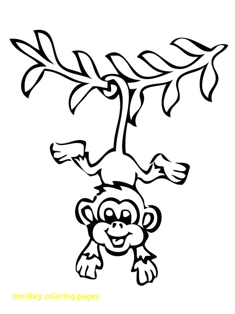 Monkey Coloring Sheet M Is For Monkey Coloring Page Spider Monkey 750x1000 Monkey Coloring Sheet M Is For Monkey Coloring Page Spider Monkey