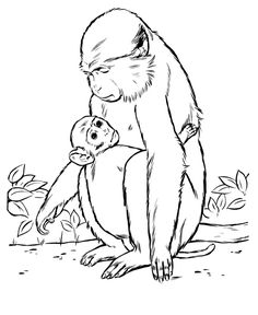 Red Howler Monkey Drawing And Coloring Page Drawing And Painting 236x288 Red Howler Monkey Drawing And Coloring Page Drawing And Painting