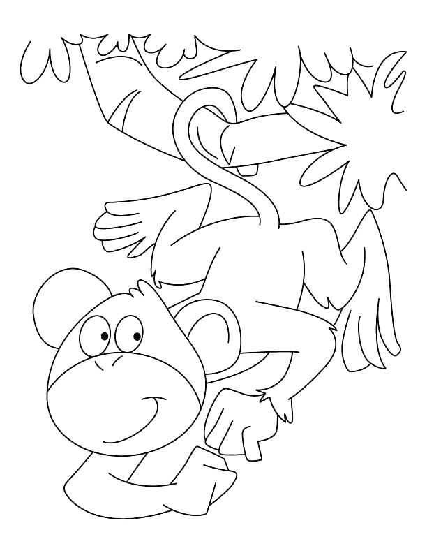 Spider Monkey Coloring Page Black Handed Spider Monkey Coloring 612x792 Spider Monkey Coloring Page Black Handed Spider Monkey Coloring