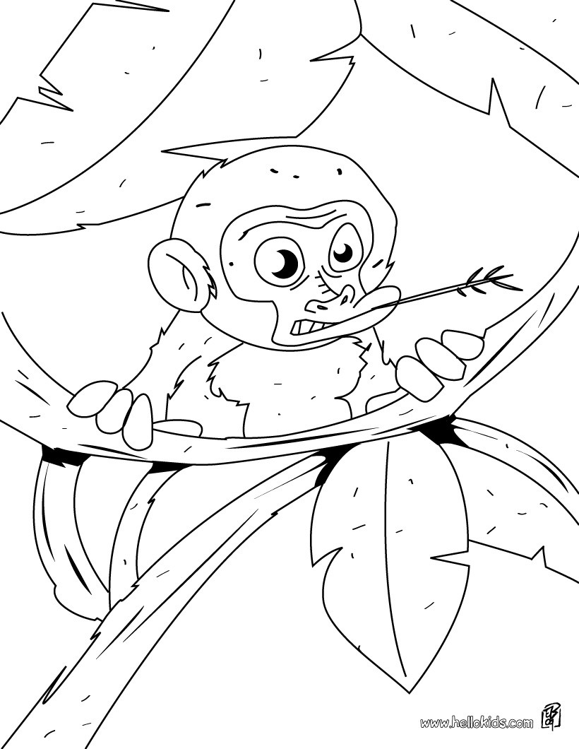 Baby Monkey In The Tree Coloring Pages 820x1060 Baby Monkey In The Tree Coloring Pages
