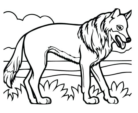 Coyote Coloring Page Click To See Printable Version Of Realistic 480x394 Coyote Coloring Page Click To See Printable Version Of Realistic