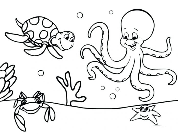 Hawaiian Hula Dancer Coloring Page Girl Pages Princess Craft 728x546 Hawaiian Hula Dancer Coloring Page Girl Pages Princess Craft