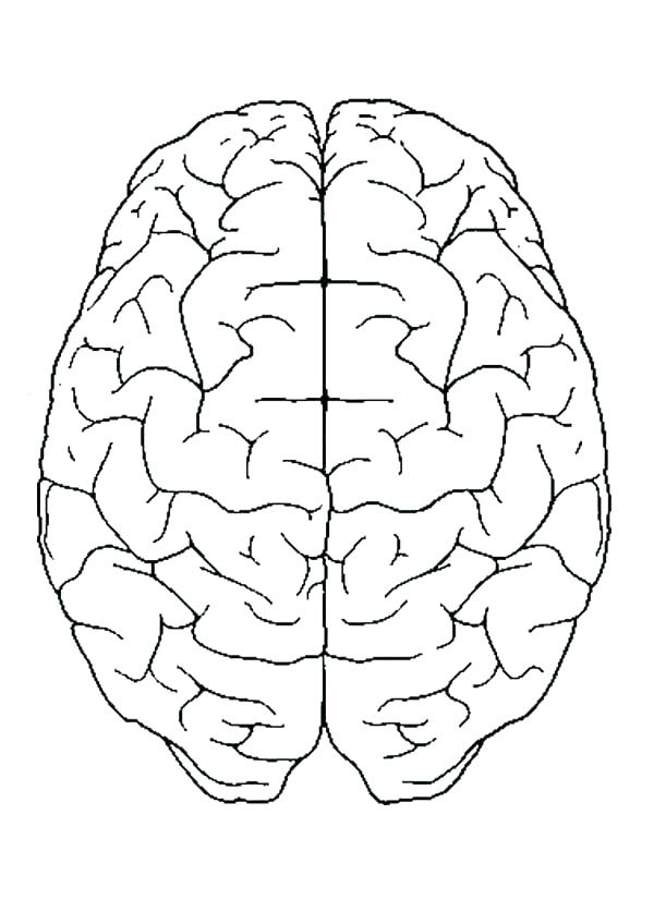 600x848 Brain Anatomy Coloring Pages Brain Coloring Book Together
