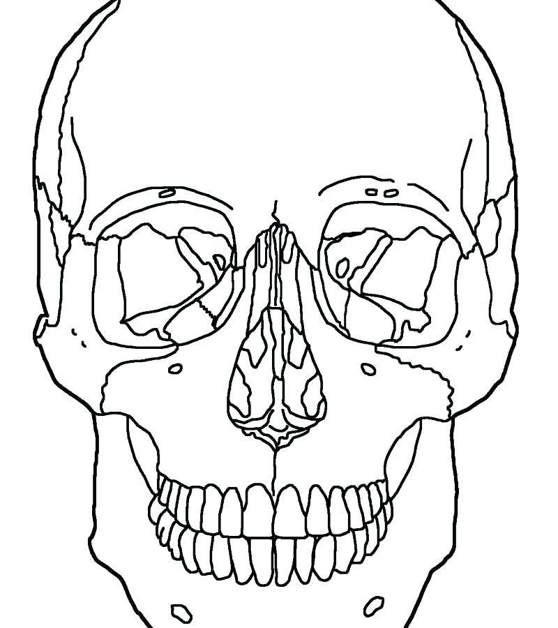 800x900 Printable Sugar Skull Coloring Pages Free Printable Skull Coloring