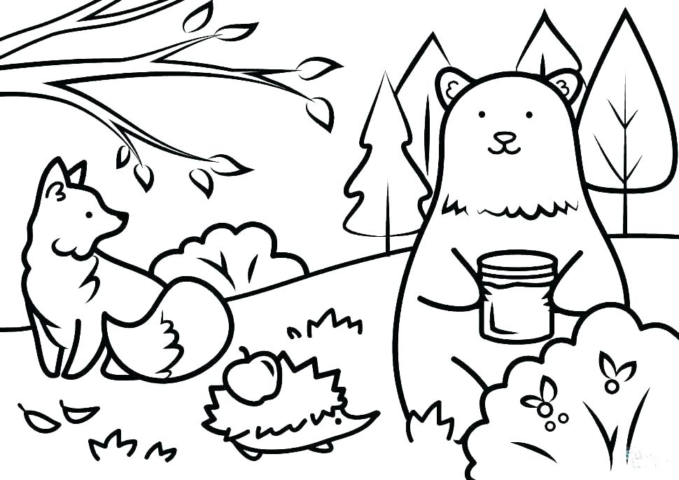 970x685 Anatomy Coloring Pages For Adults Free Anatomy Coloring Pages Free