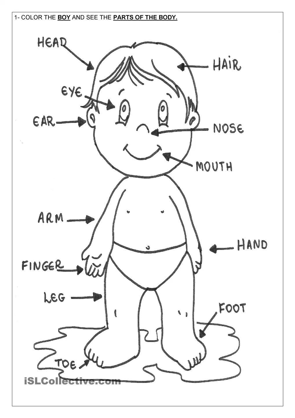 1018x1440 Human Body Coloring Pages Auto Market Me