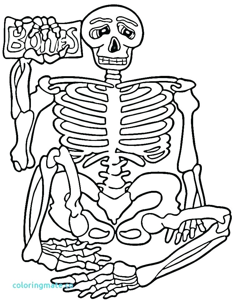 750x970 Human Body Coloring Pages Human Body Coloring Book Human Body