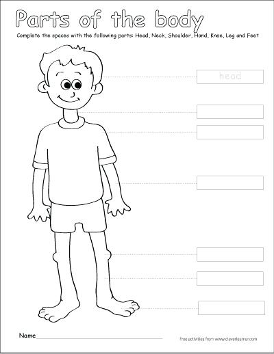 400x518 Coloring Human Body Coloring Sheets Parts Of The Systems Pages