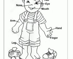 Convenient Free Coloring Pages Of My Body Part Preschool Body 236x189 Convenient Free Coloring Pages Of My Body Part Preschool Body