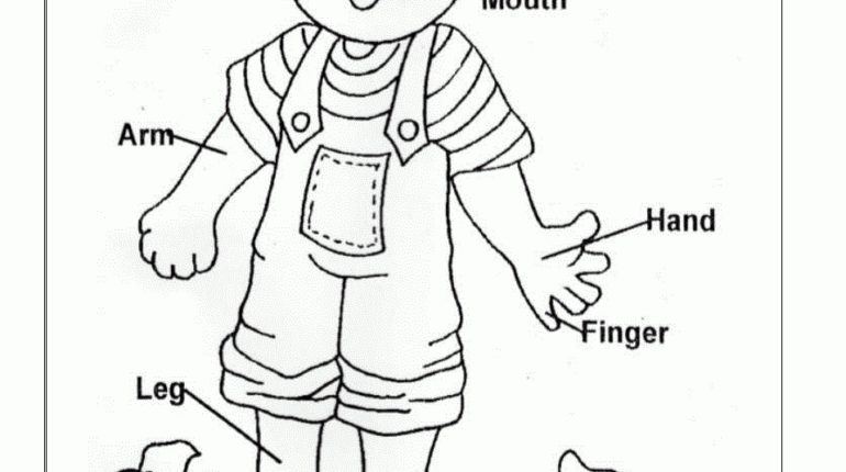 Coloring Sheets Of The Human Body 770x430 Coloring Sheets Of The Human Body