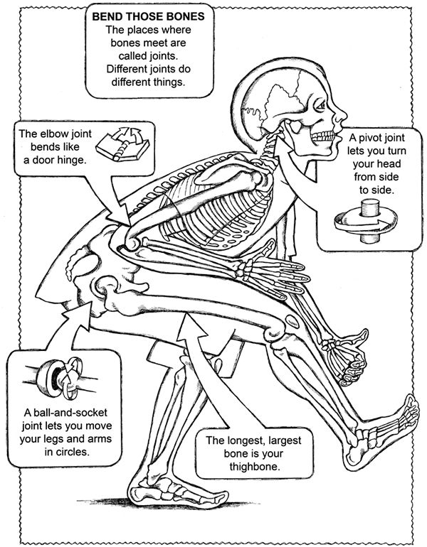 Free Coloring Page From Dover Publications Homeschool 600x770 Free Coloring Page From Dover Publications Homeschool