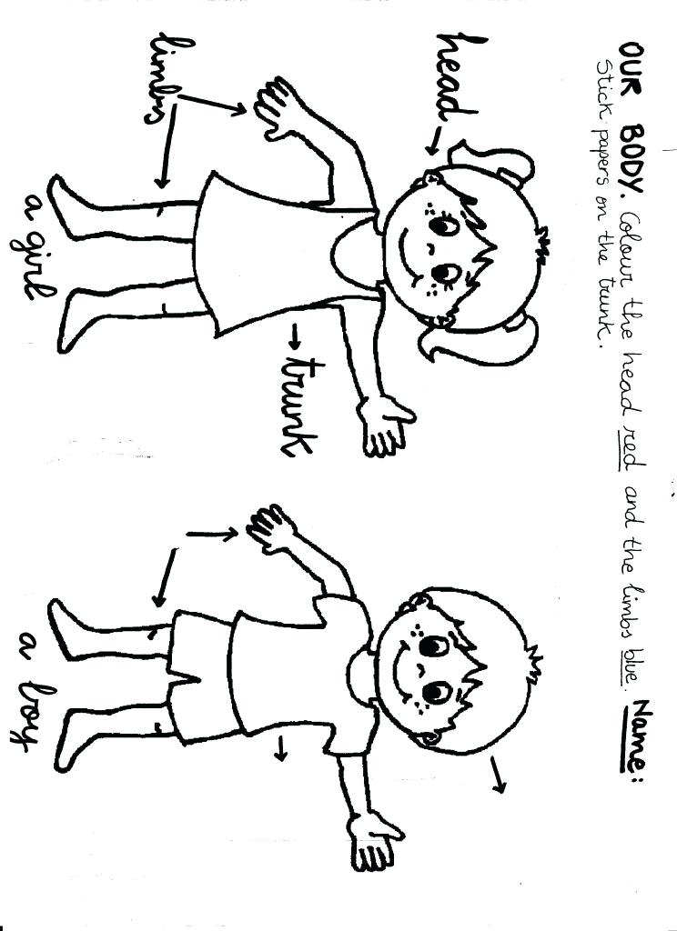 Body Coloring Pages Body Coloring Page Human Body S Worksheet 744x1024 Body Coloring Pages Body Coloring Page Human Body S Worksheet