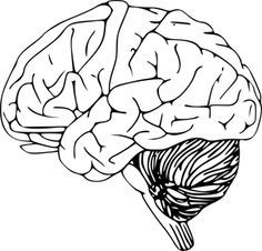 Brain Coloring Page Growth Mindset Brain, Mindset 236x226 Brain Coloring Page Growth Mindset Brain, Mindset