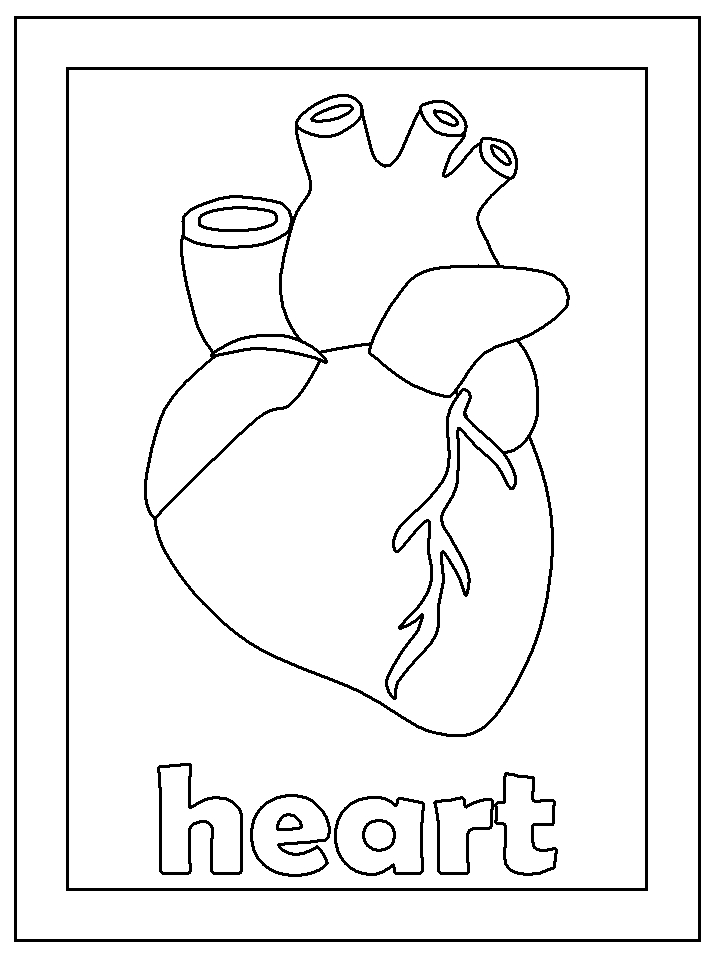 718x957 25 Human Heart Coloring Pages Selection Free Coloring Pages