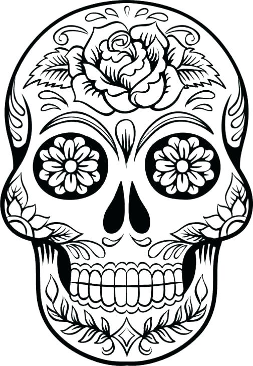 505x730 Skeleton Coloring Page Awesome Human Skeleton Coloring Pages Free