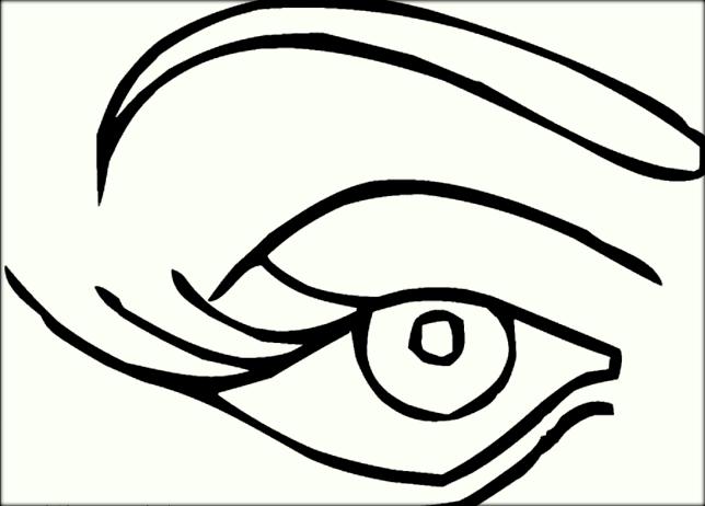 Human Eyes Coloring Pages For Preschoolers 644x462 Human Eyes Coloring Pages For Preschoolers