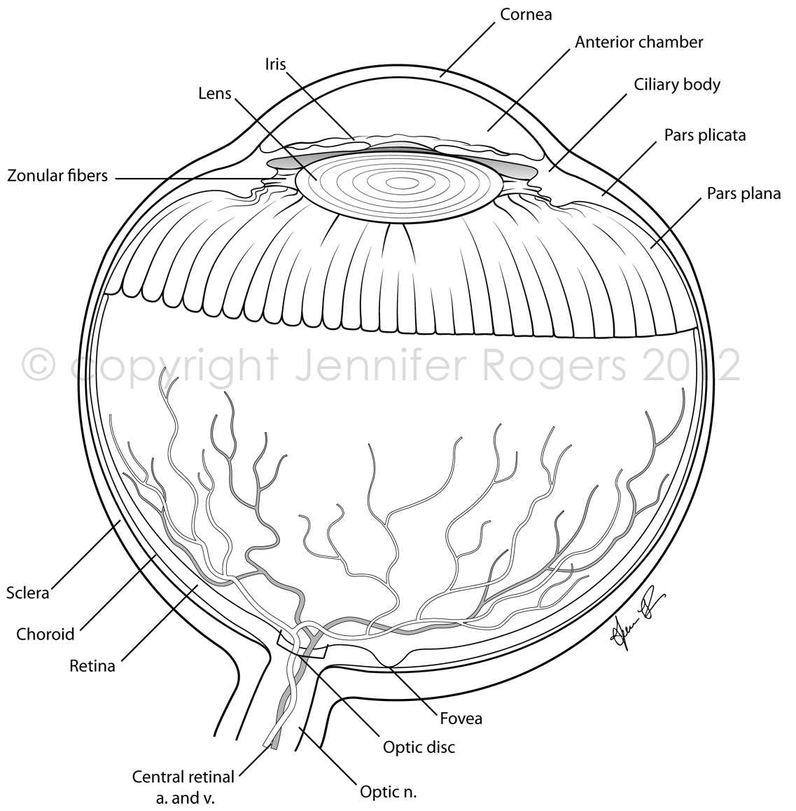 Imagination Human Eye Coloring Page Eyes Pages 1137x1158 Imagination Human Eye Coloring Page Eyes Pages
