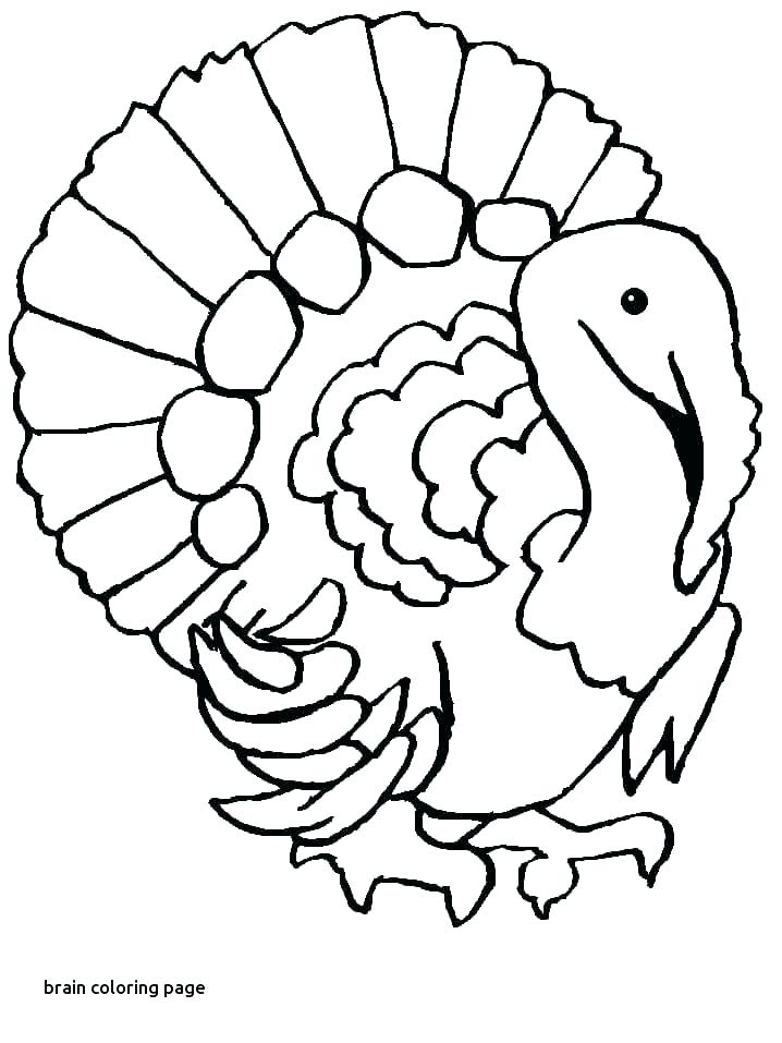 Coloring Page Of The Brain Brain Coloring Page Brain Coloring 718x957 Coloring Page Of The Brain Brain Coloring Page Brain Coloring