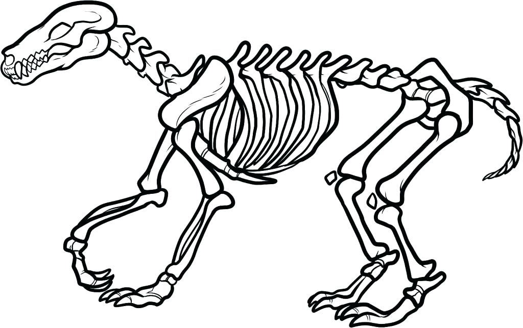 Human Skeleton Coloring Pages Printable Me Free Dinosaur Mummy 1024x643 Human Skeleton Coloring Pages Printable Me Free Dinosaur Mummy