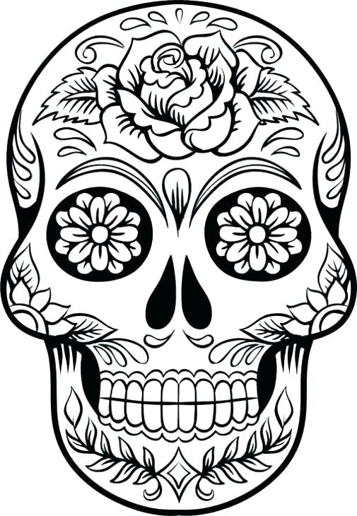 Human Skeleton Coloring Pages Skeleton Coloring Skeleton Coloring 505x730 Human Skeleton Coloring Pages Skeleton Coloring Skeleton Coloring