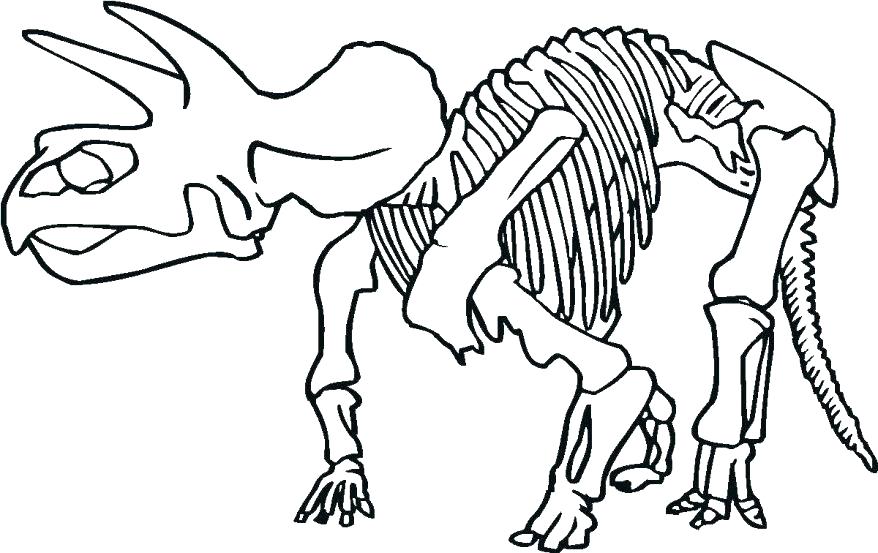 Skeleton Coloring Sheet Human Skeleton Coloring Page Dinosaur 878x553 Skeleton Coloring Sheet Human Skeleton Coloring Page Dinosaur