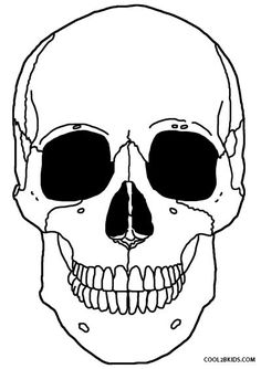 Skeleton Anatomy Coloring Pages Anatomy Skeleton 236x334 Skeleton Anatomy Coloring Pages Anatomy Skeleton