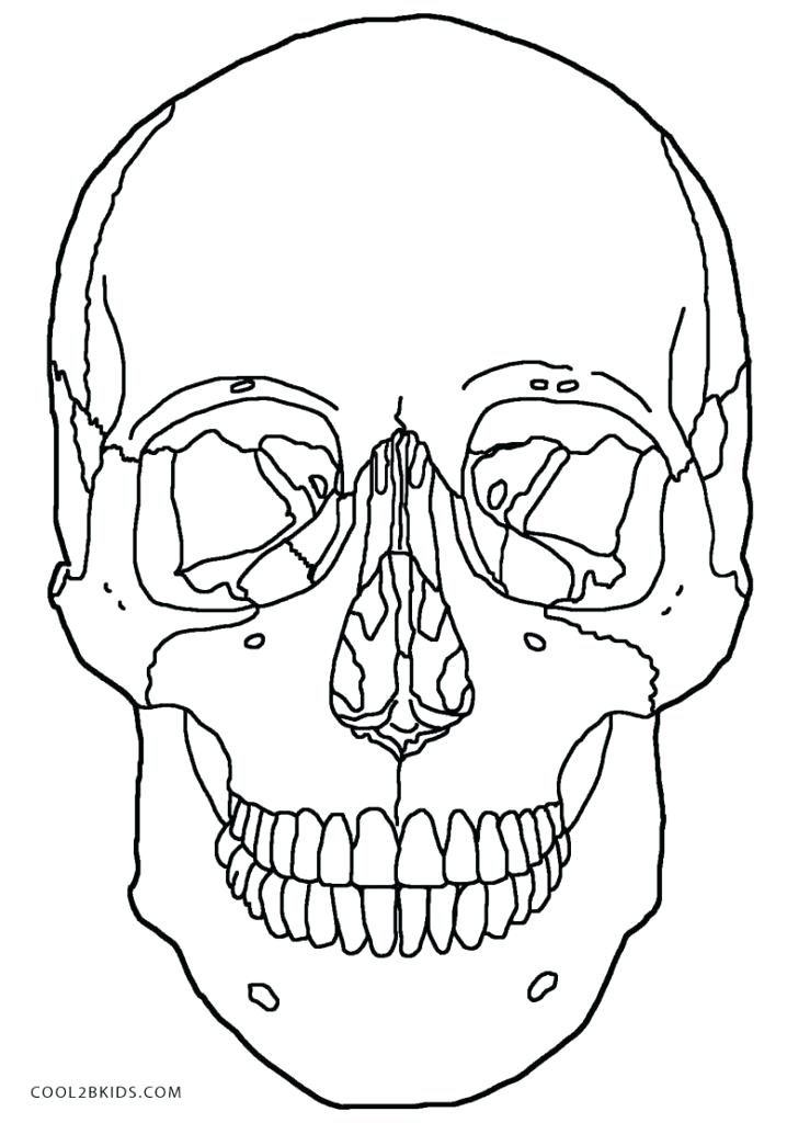 Human Skeleton Coloring Pages at GetColorings.com | Free printable ...