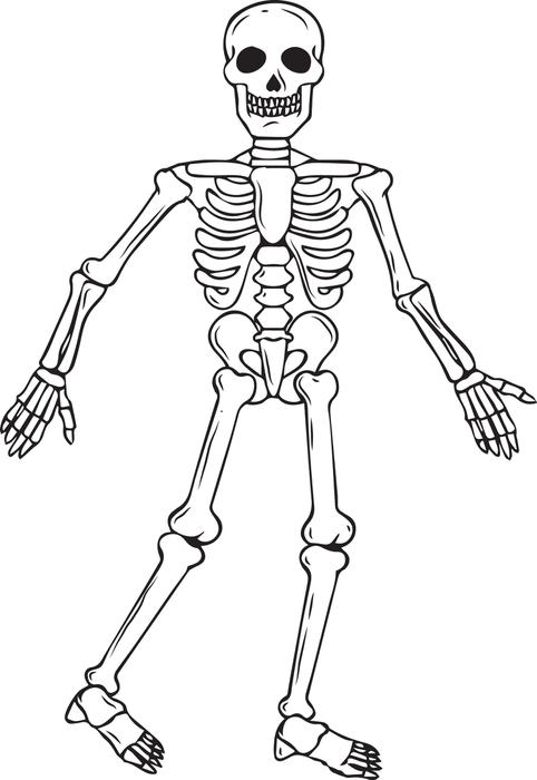 Halloween Skeleton Coloring Pages Skeleton Coloring Sheet Teojama 482x700 Halloween Skeleton Coloring Pages Skeleton Coloring Sheet Teojama