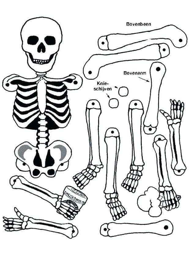Human Skull Coloring Pages at GetColorings com - Human Skull Coloring Pages 3 