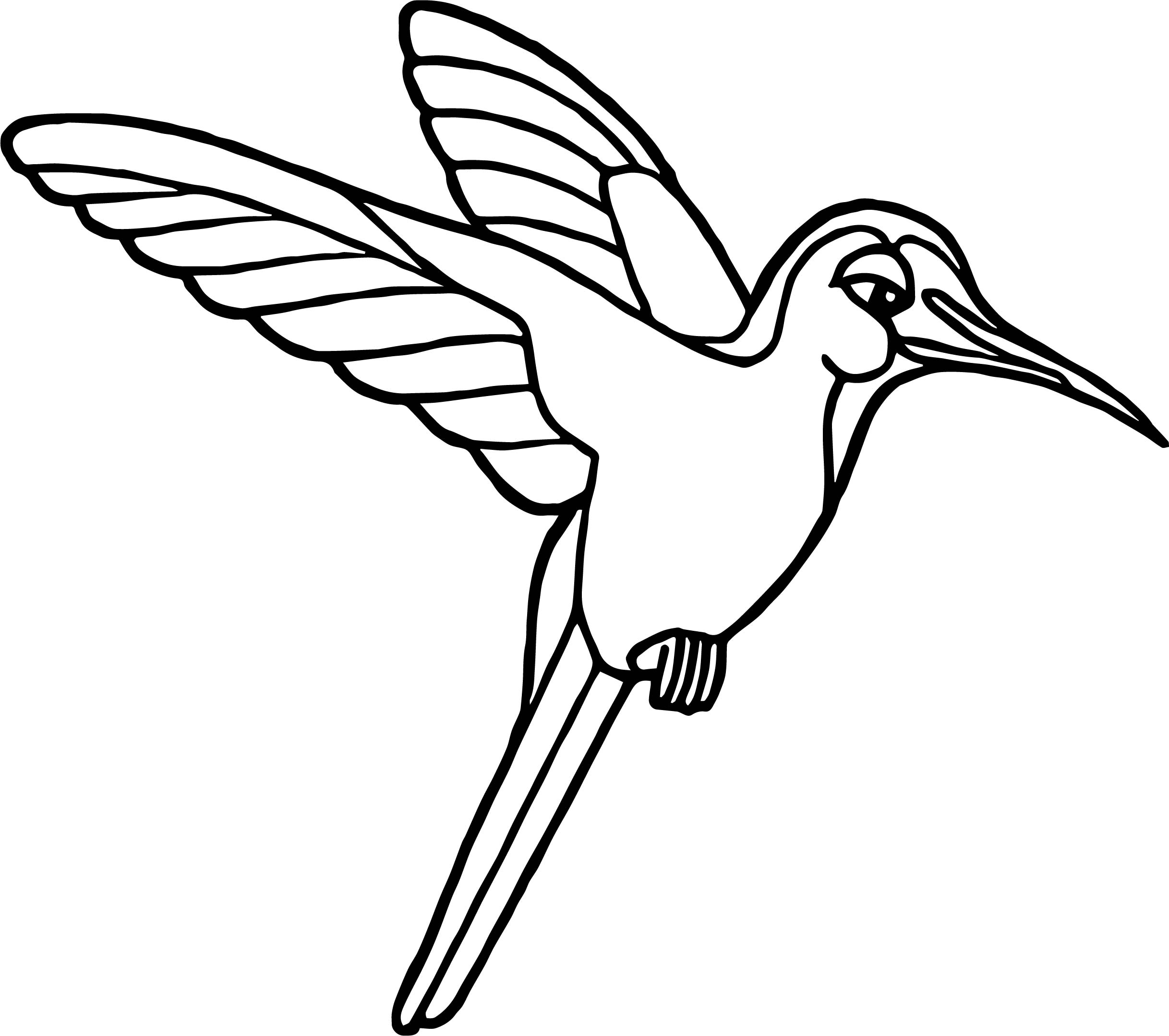 Rainforest Hummingbird Coloring Page Wecoloringpage 2435x2158 Rainforest Hummingbird Coloring Page Wecoloringpage