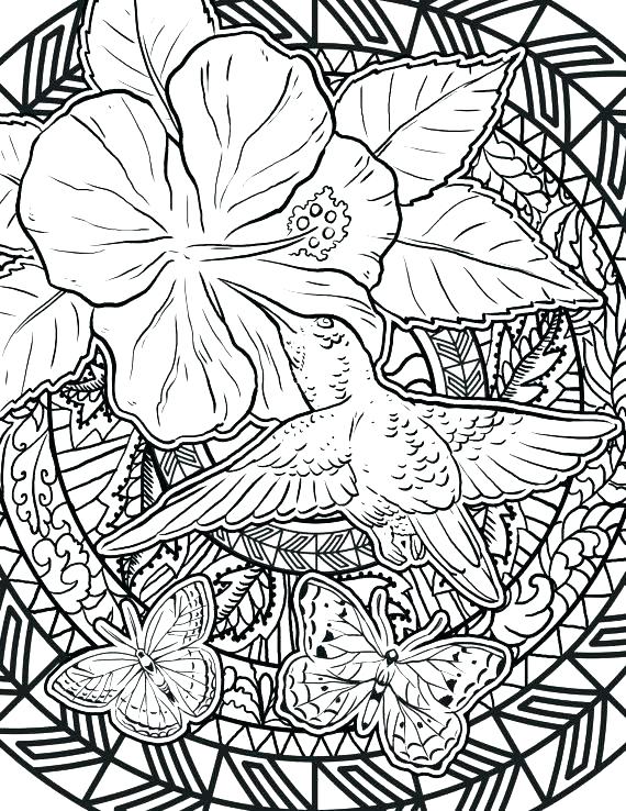 Realistic Hummingbird Coloring Pages Of Hummingbirds Woodpecker 570x738 Realistic Hummingbird Coloring Pages Of Hummingbirds Woodpecker