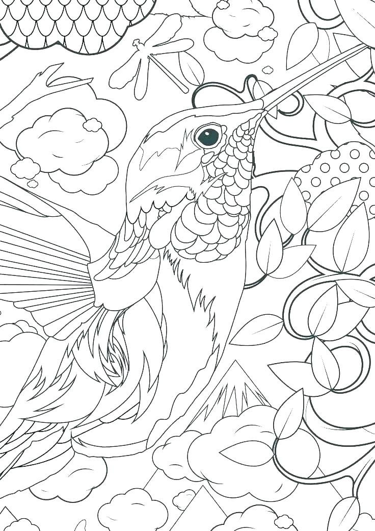 Hummingbird Coloring Pages 736x1041 Hummingbird Coloring Pages