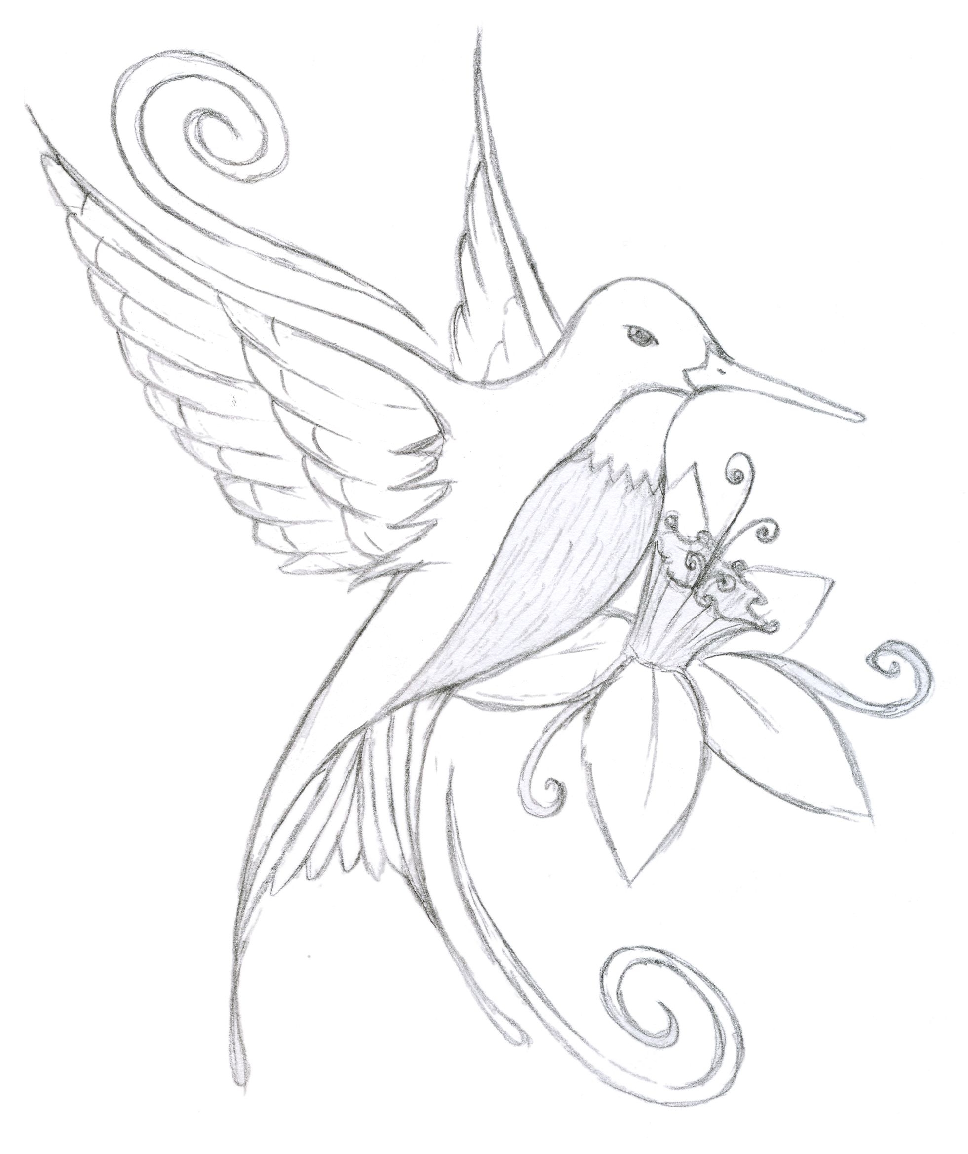 Fresh Hummingbird Flower Coloring Pages Gallery Printable 1961x2336 Fresh Hummingbird Flower Coloring Pages Gallery Printable