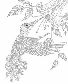236x291 Coloring Pages Hummingbirds Hummingbird Coloring, Flower