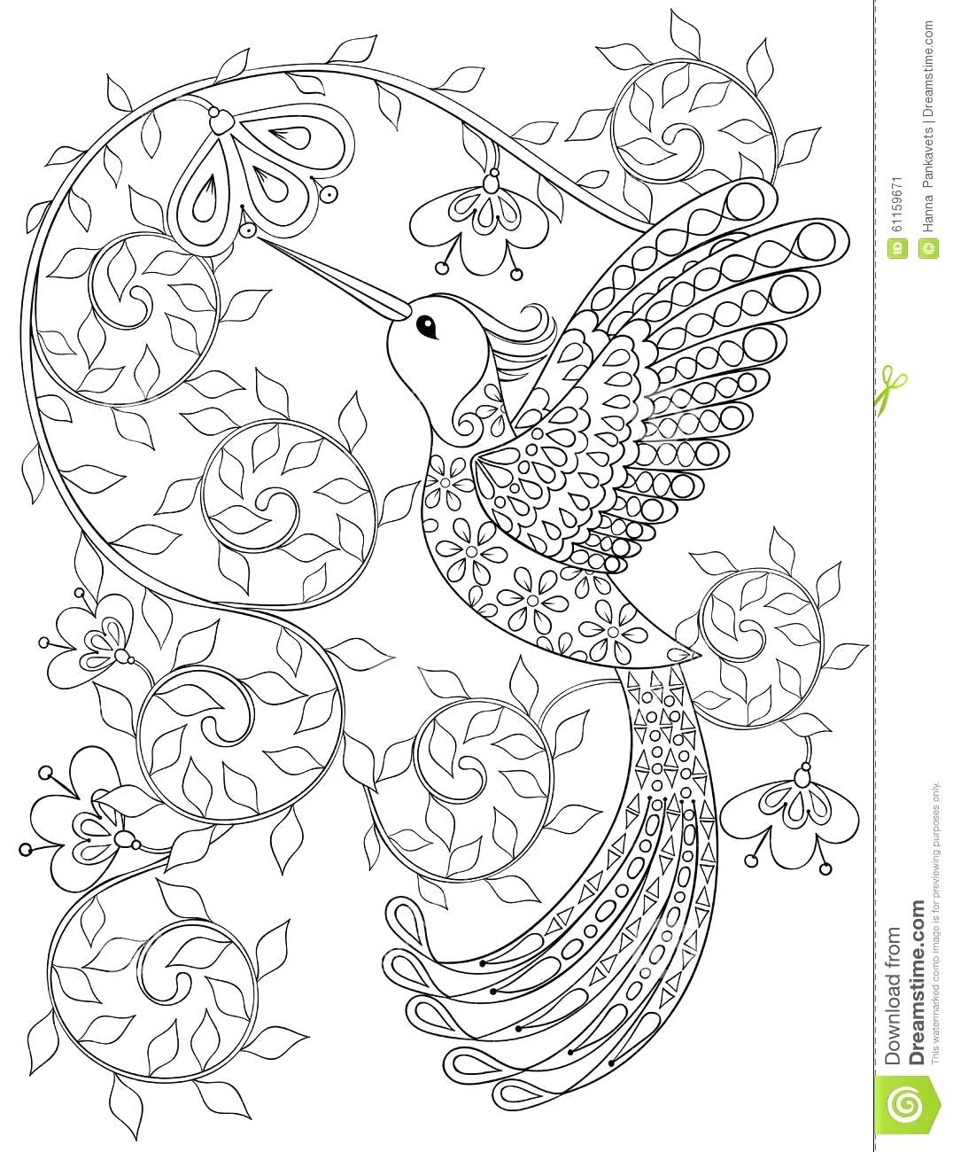 1076x1300 Coloring Pages ~ Hummingbird Coloring Pages Page Of And Hibiscus