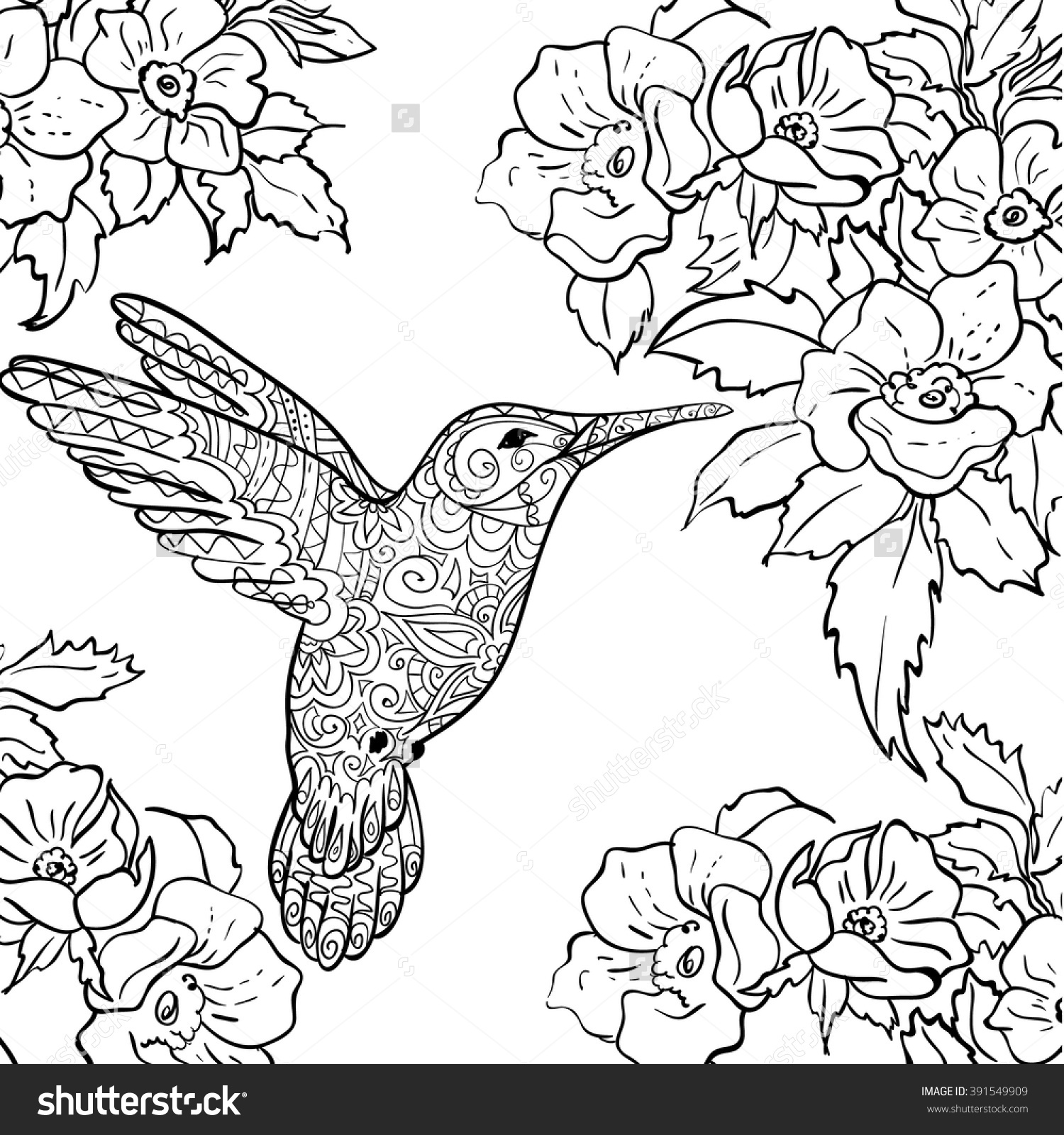 1500x1600 Happy Hummingbird Coloring Pictures 30 5607 Kids Coloring Pages