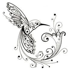 236x228 Best Hummingbird Coloring Pages Images