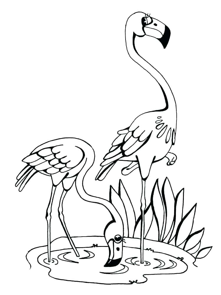 750x1000 Hummingbird Coloring Pages Printable Hummingbird Coloring Pages