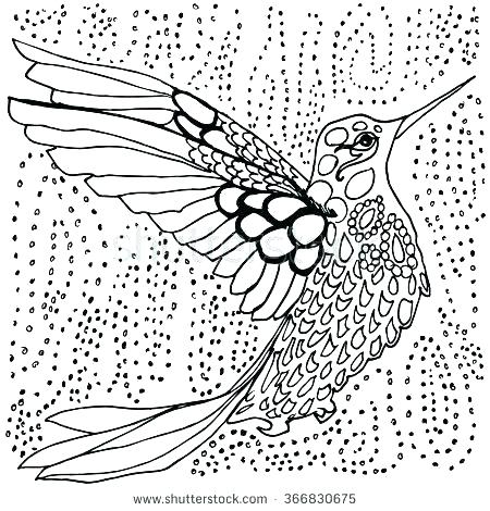 450x470 Coloring Pages Of Hummingbirds Vanda