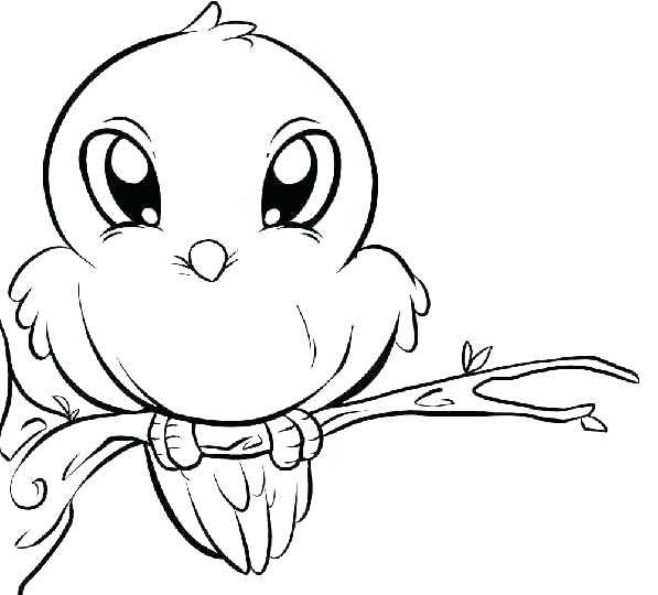 597x540 Coloring Page Of A Bird Cute Printable Coloring Pages Coloring