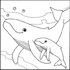 Humpback Whale Coloring Pages Eating Coloring Book Illustration 236x236 Humpback Whale Coloring Pages Eating Coloring Book Illustration