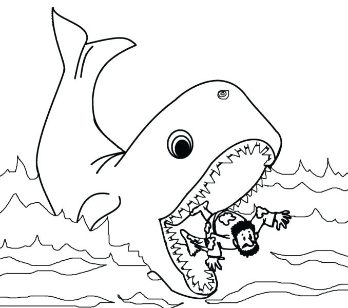 Blue Whale Coloring Page Humpback Whale Coloring Page And 678x600 Blue Whale Coloring Page Humpback Whale Coloring Page And