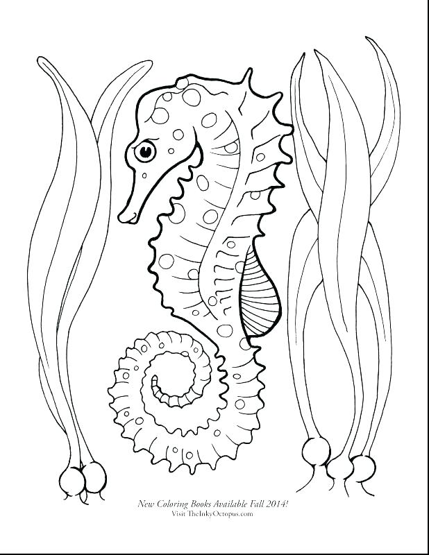 Hungry Caterpillar Coloring Pages The Very Hungry Caterpillar 618x800 Hungry Caterpillar Coloring Pages The Very Hungry Caterpillar